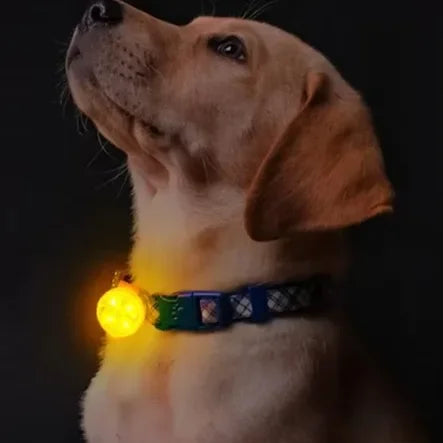 Dog Collar, Loss Collar, Weatherproof LED Safety Light, USB Rechargeable LED Light Collar, Dog, Cat, Pet